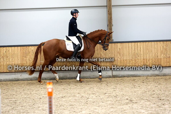 48 Sennevanck (Mowgli VOD x Ninevanck v. For Romance)