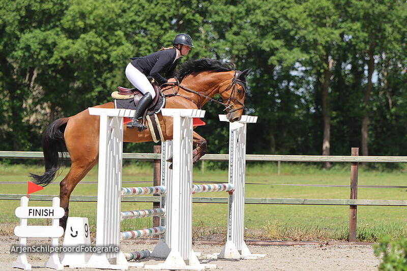 Hippisch Festijn PSV Polarfurst 2022 100cm