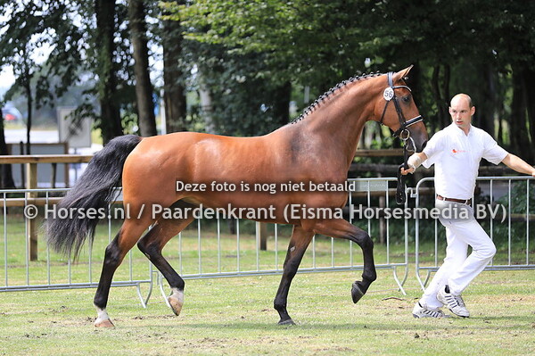 56 Layla Amanda v Alexandro P