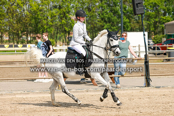 20240510-pony-80cm-prijs