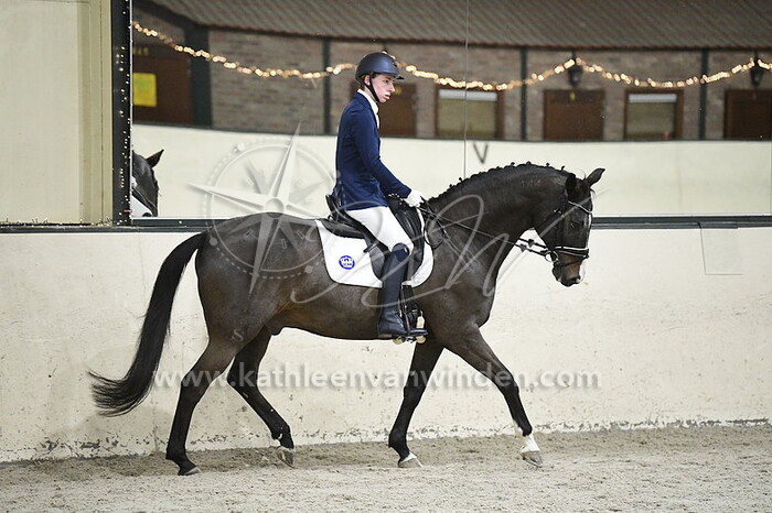 Wouter Sips - Aragon