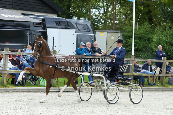 Regionaal/Nationaal - Oefenrubriek Nieuwelingen