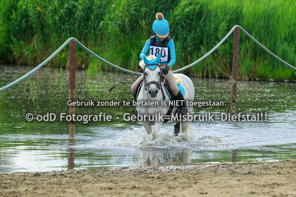 Eventing Zuid Holland 26-06-22