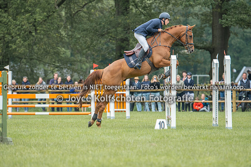Showjumping CCI3*-L