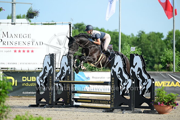 Anne van Vliet - Royal Shutterfly