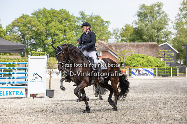 Rubriek 09. Bestgaand rijpaard 4 jarige hengsten/ ruinen