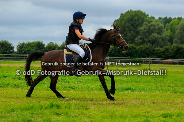 Eventing Zeeland 28-07-19