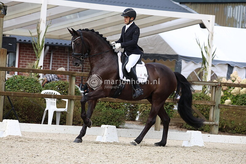 407_Z.STER_FINALES_15sept