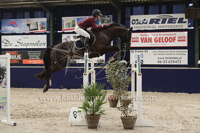 Sacha de Wit - Ding Dong van Overis Z