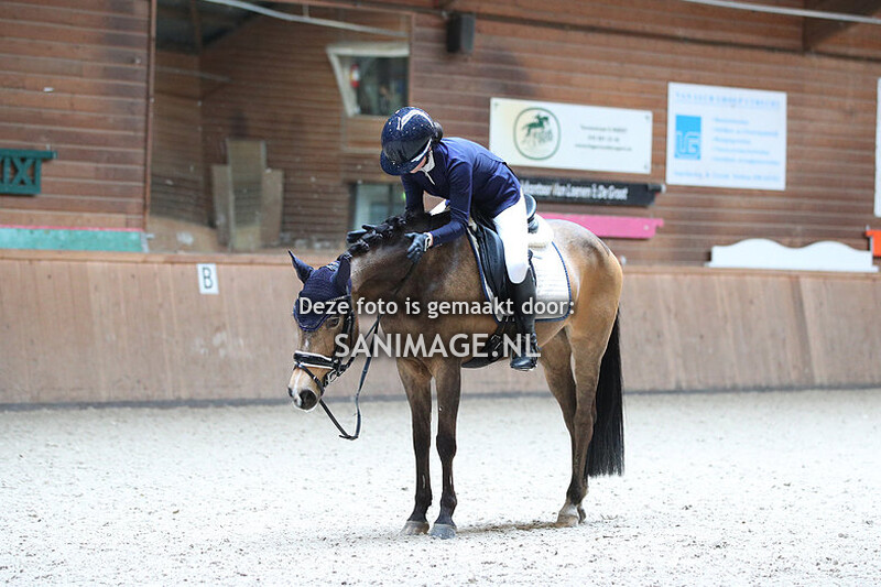 Midland Dressuur 26-03-2023 11.45 - 13.30 uur