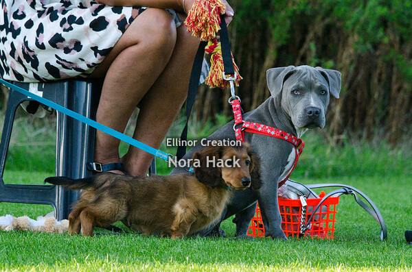 Vrijdag 23 augustus 2019