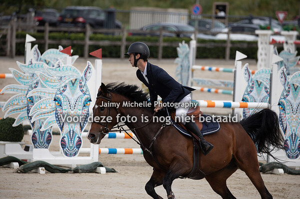 Luc Willemsen - Olivie