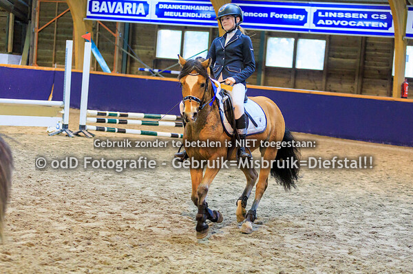 Geldrop Hippique oefen prog 40-50cm 12-10-25