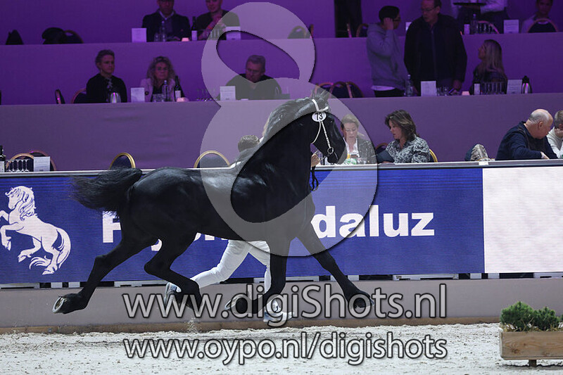 Tiemo fan e Herdershoeve v. Ulbran 502