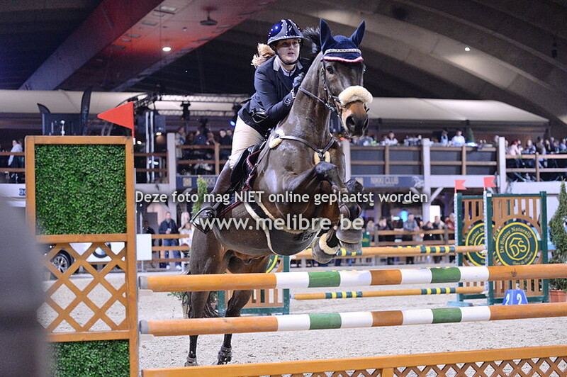 JM18 -ZAT- JM-IM Senior Final Horses