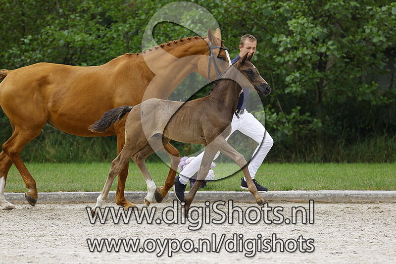 Kaiser Weltino x Daddy Cool