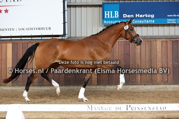 37 Shivanna JB (Next Level x Milione v. Glocks Toto jr)