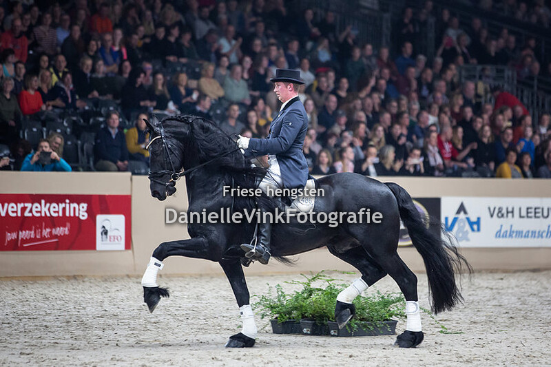 Hengstenkeuring 2020 OHZ Julius 486 Jacob vd Heide 