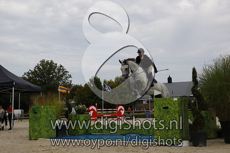 Klasse 1.35 paarden 1e manche