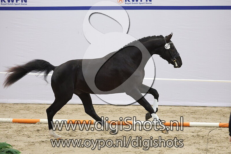 Thesla van de Zietfort