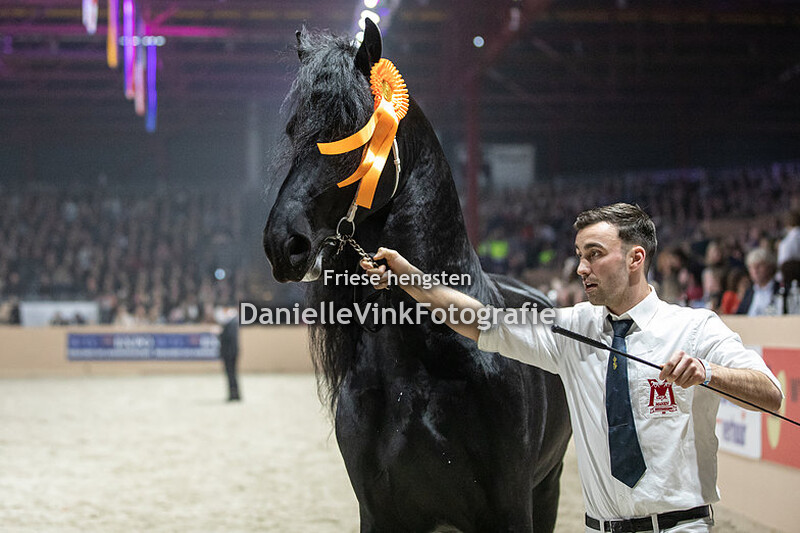 Hengstenkeuring 2023 Hilbert 529