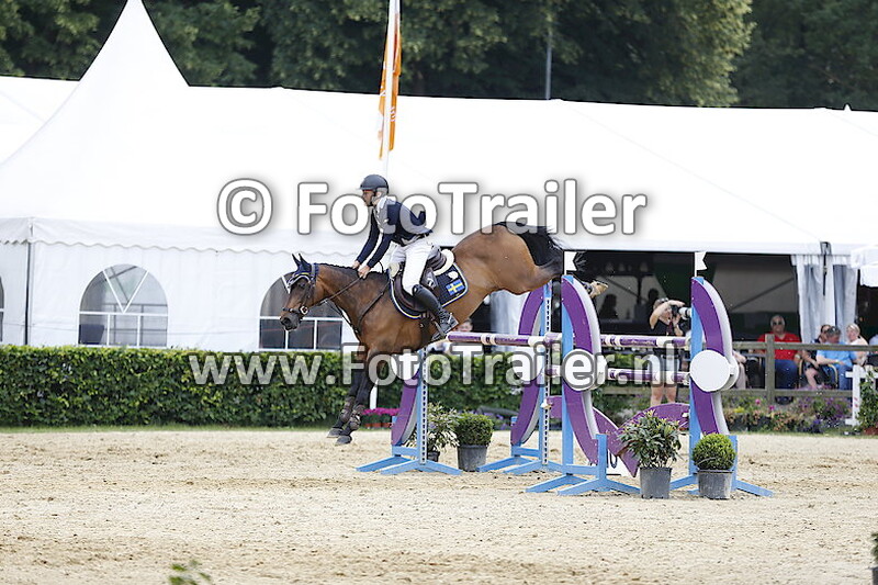 Ingemar Hammarstro¨m