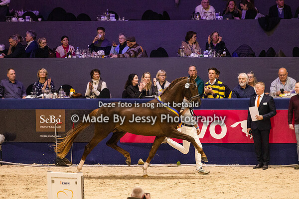 KWPN Hengstenkeuring Premie Hengsten
