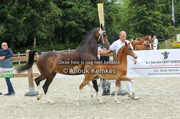 15 - Virose ( Macho x Fatijn ) 