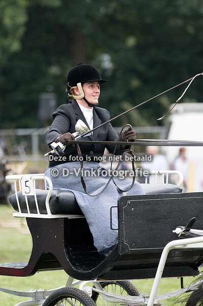 Nederlandse trekpaarden