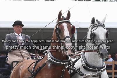 Show Image HBC/International en Magnifiek 