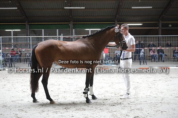 125 Midnight Surprise MEP (Zonik x Diamantaire v. Tuschinski)