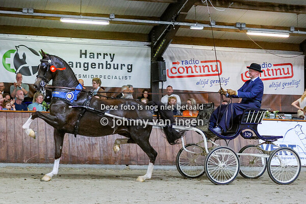 Indoor Noordelijke tuigpaardendag Exloo 2025