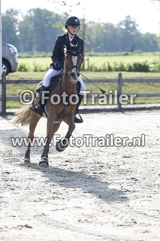 marlique hondenbrink