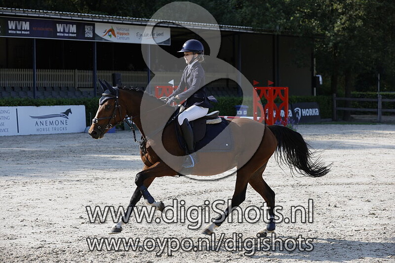 Springen verenigingskampioenschap ponys