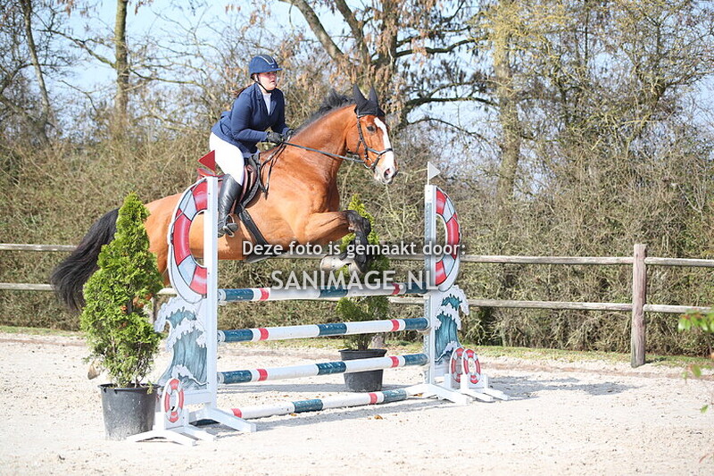 Stal Groenendaal springen paarden 09-03-2025 100 cm Stijl