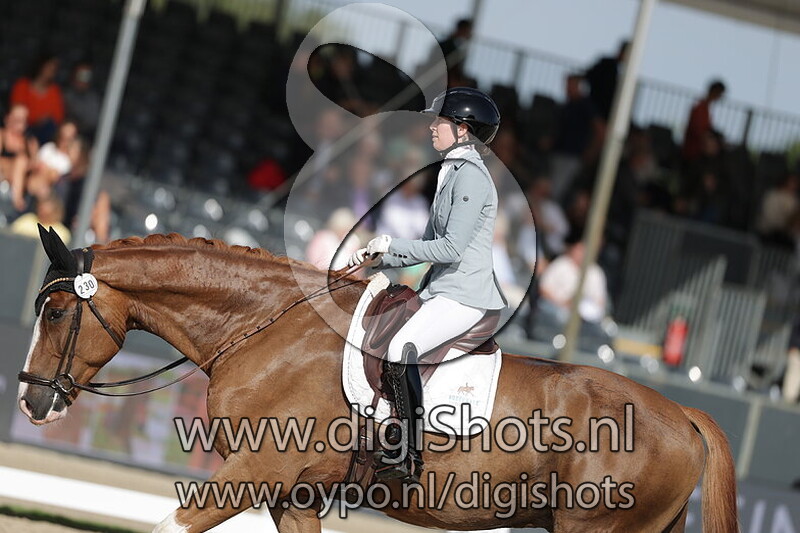 Secret Life Majishan