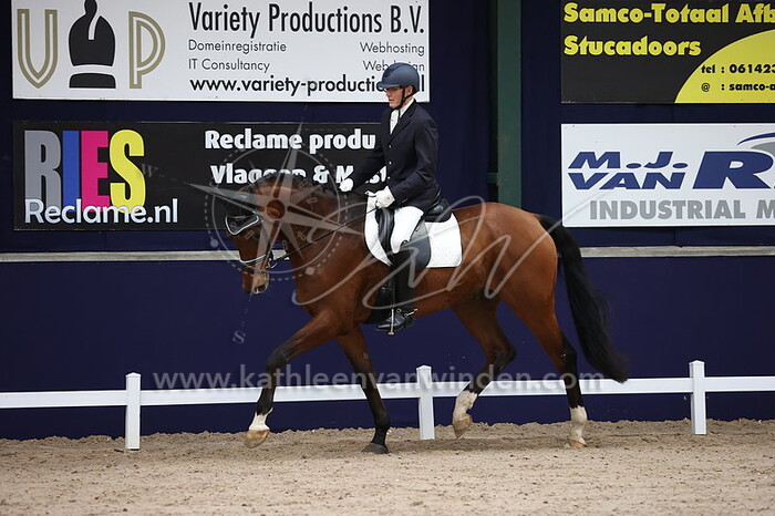 Hendrik van Esch - Niel Daimond