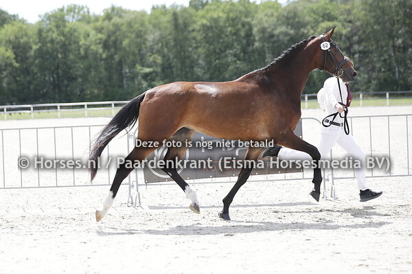 62 Oppertunity Trikar (Revolution x Zonnefony v. Rousseau)