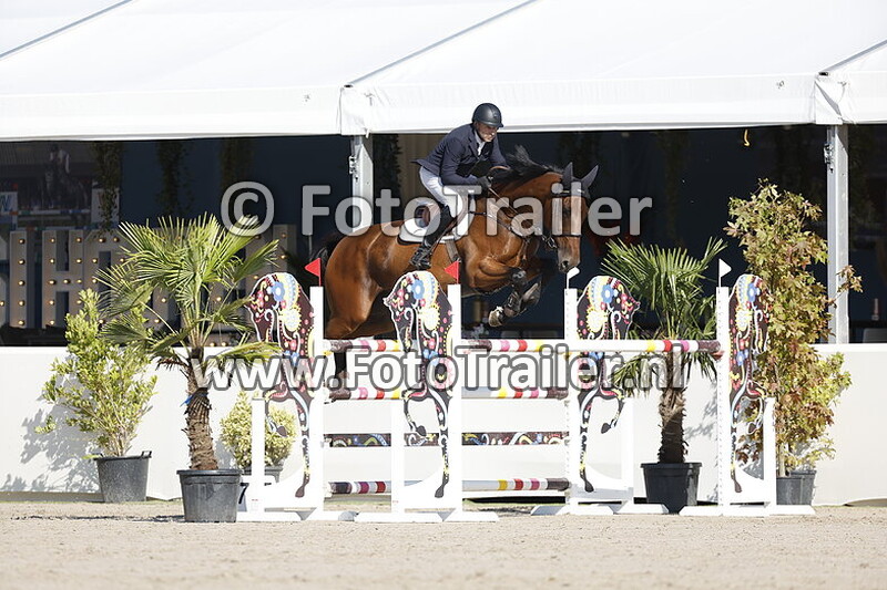 morten alexander djupvik