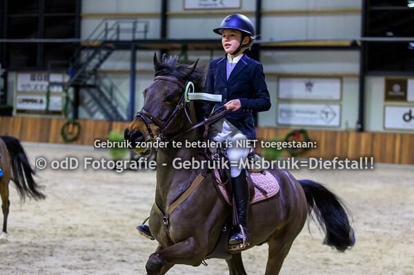 Green Valley Kerst Trophy Pony's 110-120cm 22-12-24