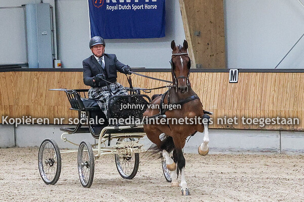 ibop Ermelo tuigpaard 2025