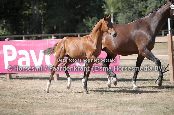 64 Singapore (Mc Laren x Mistiek v. Governor)