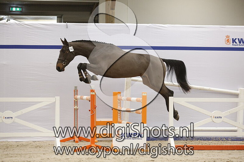 Qabeau Z v. Qannando B&V