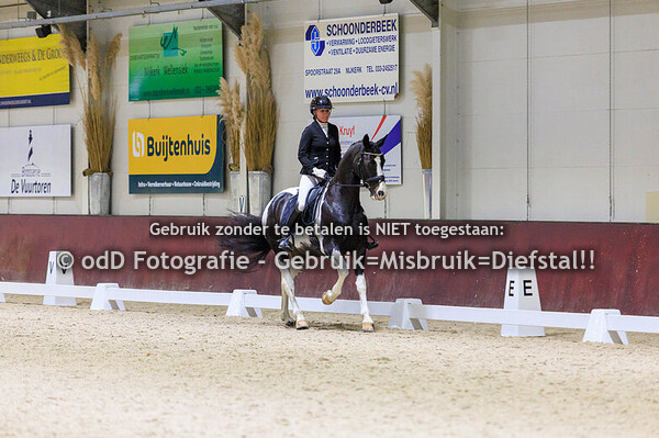 Neuderuiters Dressuur Z2 29-11-25