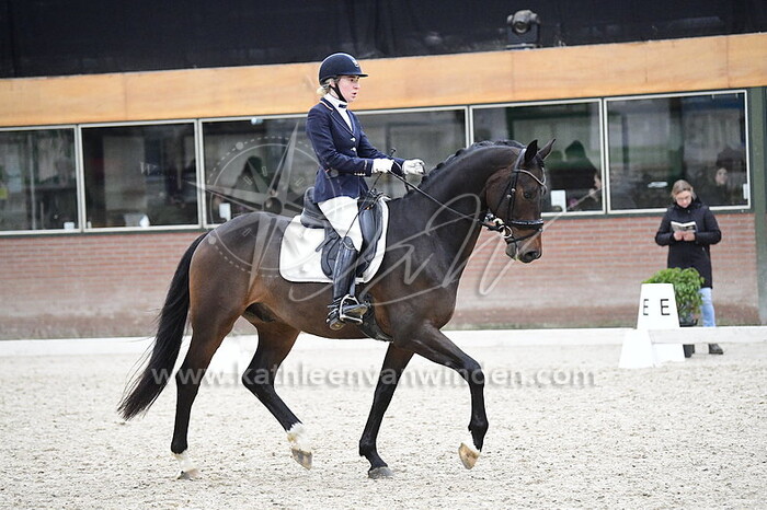 Jenthe Vandenbergh - Nobody But Elvis