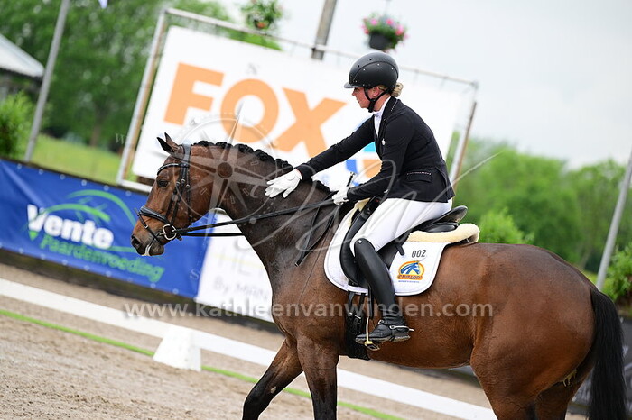 Sanne Tazelaar - Prince