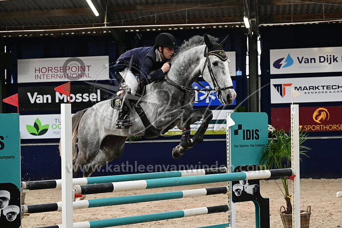 Sjoerd Vrijhoeven - Cassanova Zeldenrust Z