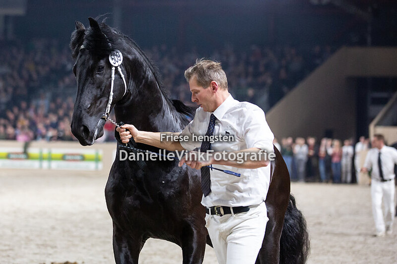 Hengstenkeuring 2020 Wardy 509