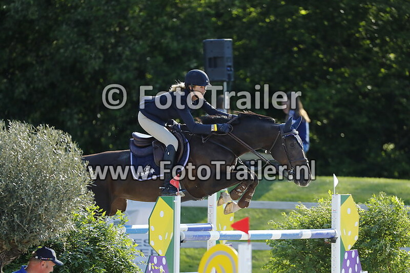 nathalie van der mei