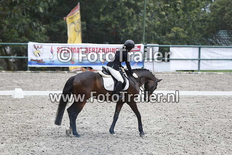 Mega Veronica Cincin